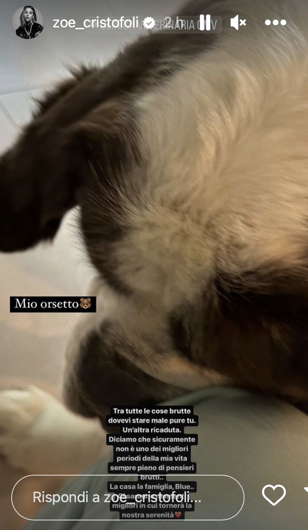 Zoe Cristofoli, periodo nero: anche il cane non sta bene. Il suo messaggio- immagine 2