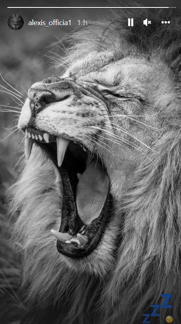 Inter-Liverpool, Sanchez in panchina? Lui pubblica il leone…che sbadiglia- immagine 2