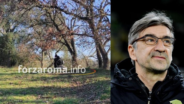 Osservatore di Juric tra gli alberi. Stava spiando le mosse di DDR - immagine 1