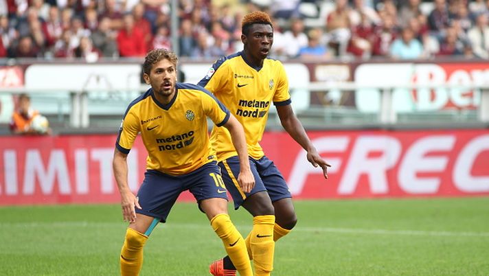 Hellas Verona, Pecchia pensa ad un cambio modulo - Fantamagazine