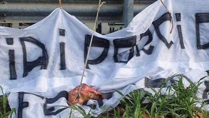 Spal (foto La Nuova Ferrara)