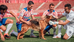 Girona, ritorno in Liga e una proposta rivoluzionaria: essere il primo club pet friendly al mondo