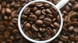 Ecco tutte le varietà di caffè esistenti e le loro caratteristiche