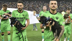 Romania, calciatori in campo con cuccioli in braccio: “Adottate i cani randagi”