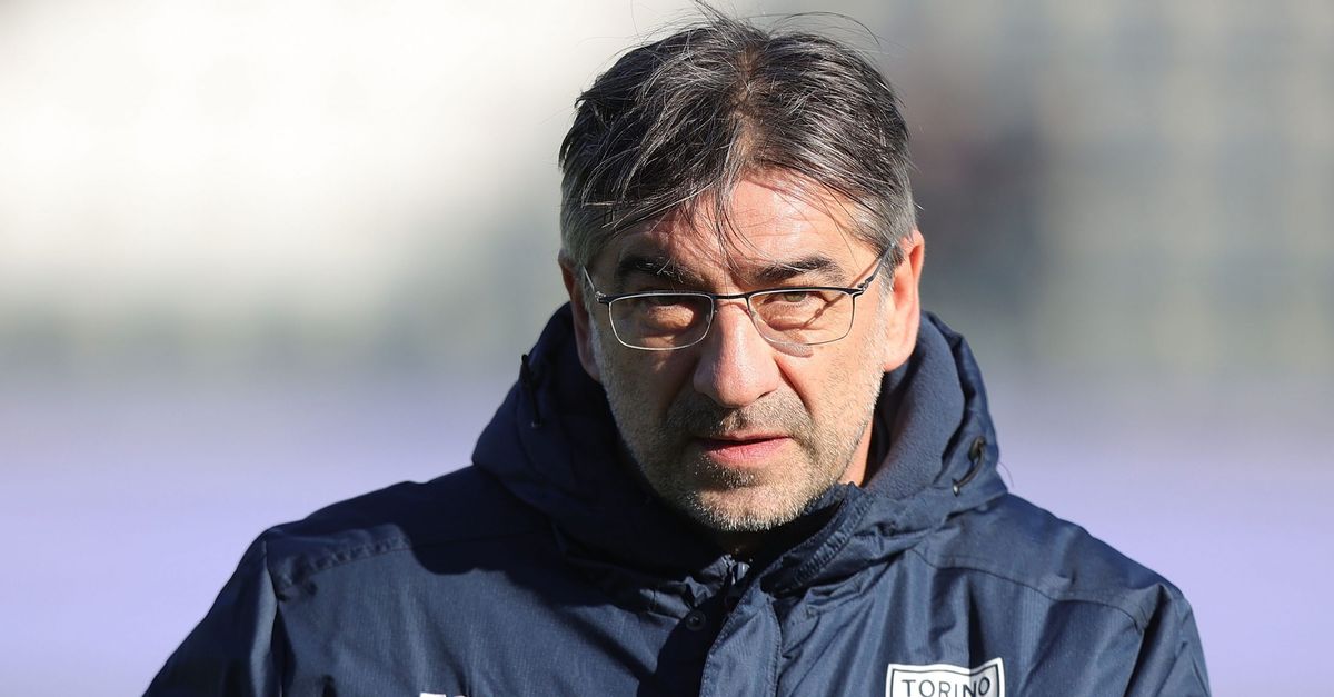 Turin, Juric in the Italian Cup Serie C final: study Modesto’s Vicenza