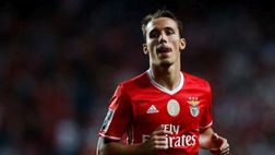 GdS – Napoli nuovamente su Grimaldo: contratto in scadenza nel 2021, Giuntoli ci prova