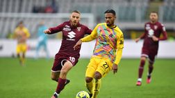 Verso Spezia-Torino: probabili formazioni e ultime news