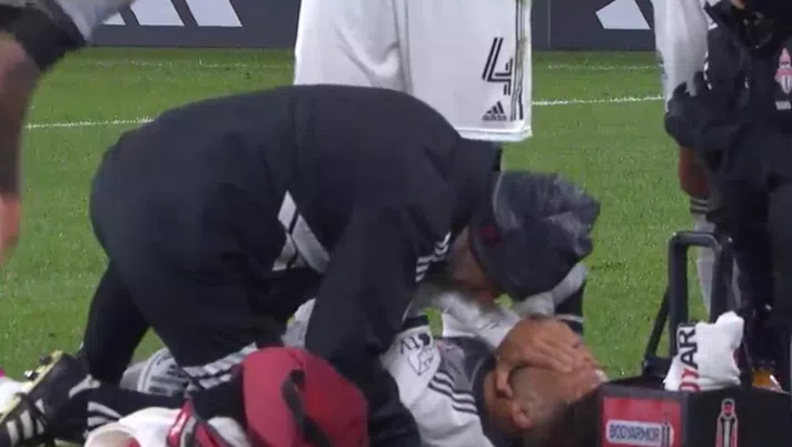 insigne