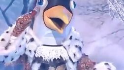 Pepe Reina in versione pinguino: il curioso costume del portiere in uno show spagnolo