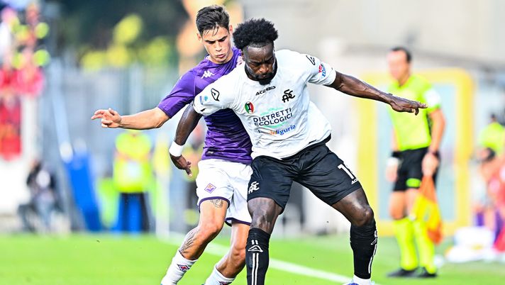 La probabile formazione dello Spezia: riecco Nzola, chi a sinistra in difesa? - immagine 1