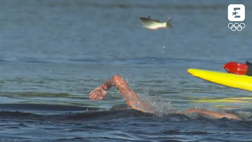 Video – Paltrinieri nuota, il pesce vola: il video che ha fatto impazzire il web