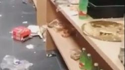 Le condizioni dello spogliatoio dell’Italia fanno discutere (VIDEO)