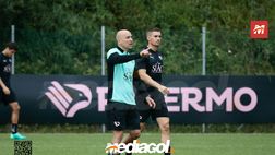 Palermo, verso il test contro Lommel SK: seduta mattutina a Torretta. Il report