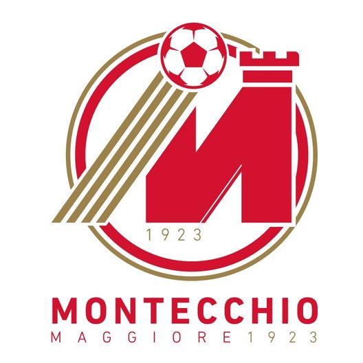 Montechio Maggiore, nuovo logo Serie D, Montecchio matricola ambiziosa: da Djuric a Marchesini, ecco i primi colpi- immagine 2