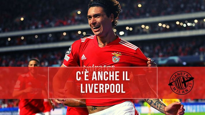 Darwin Nunez, attaccante del Benfica, piace a Milan e Liverpool