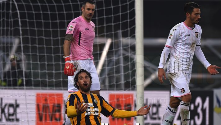 Hellas, Luca Toni: “Non vogliamo mollare, ma per restare in A serve un’impresa. Ho una richiesta in caso di salvezza” Hellas, Luca Toni: “Non vogliamo mollare, ma per restare in A serve un’impresa. Ho una richiesta in caso di salvezza”