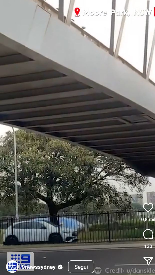 Moore Park, effetto derby: il ponte di Sydney trema…- immagine 2