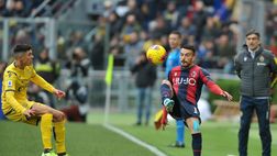 Fantastico Borini, è subito gol! 1 a 1 del Verona a Bologna in rimonta