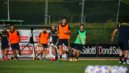 Gunter al Verona, le cifre