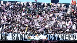 Palermo, Gds: “Prevendita tiepida, no sold out al Barbera col Venezia. Entusiasmo…”
