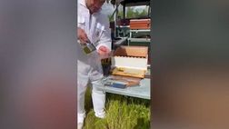 Beckham ora raccoglie il miele: “La mia attività preferita” | VIDEO