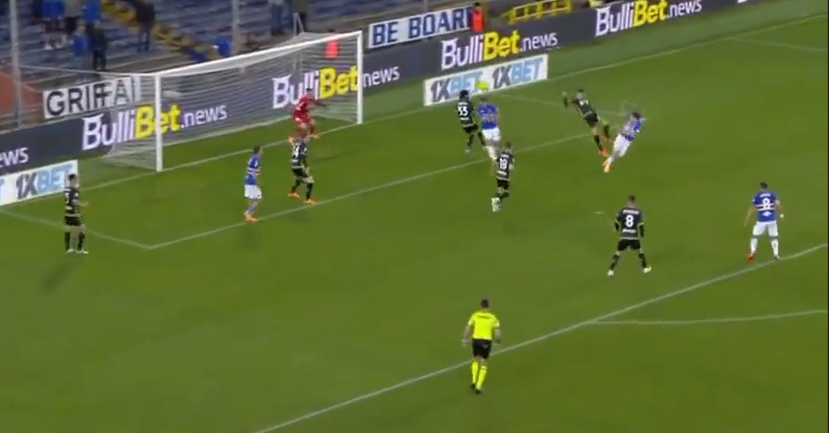 VIDEO Zanoli Ancora In Gol Con La Sampdoria: Gran Destro Su Assist Di ...