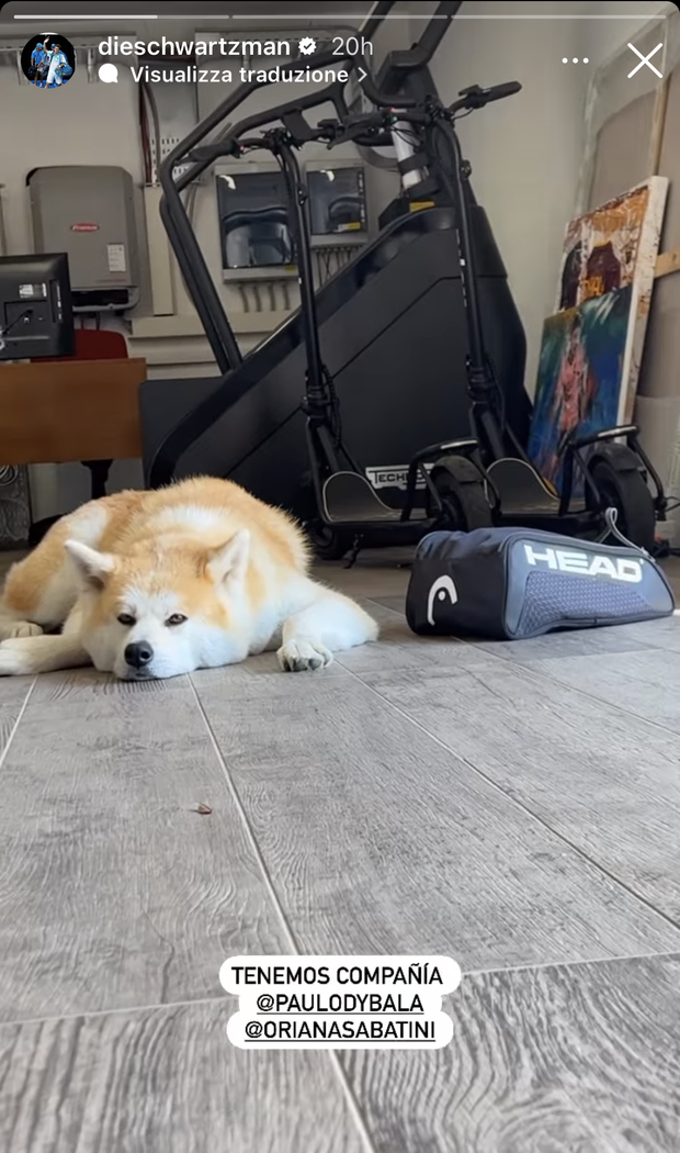 Roma, Dybala si allena con il tennista Schwartzman: sabato potrebbe tornare in campo- immagine 2