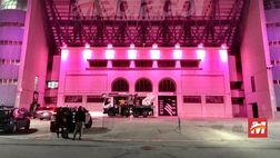 Foto Palermo, trionfo di luci al “Renzo Barbera”: lo stadio si colora di rosanero