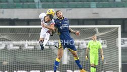 Verona verso il Napoli, Ceccherini recupera