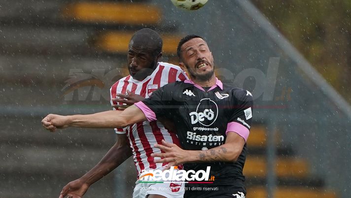 Taranto, i convocati di Laterza per il match contro il Palermo: c’è l’ex Saraniti Taranto, i convocati di Laterza per il match contro il Palermo: c’è l’ex Saraniti - immagine 1