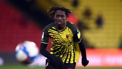 I Cugini dello U.K., Watford: Quina fuori per due mesi