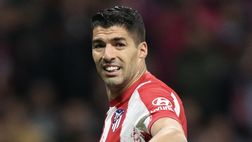 River Plate, Gallardo tenta Suárez: “L’ho chiamato, valuterà” | VIDEO