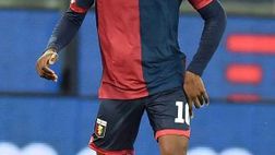 Fantacalcio, Genoa: Ntcham si prende il posto da titolare?