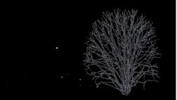 VIDEO / Cecilia Rodriguez e il Natale a Milano