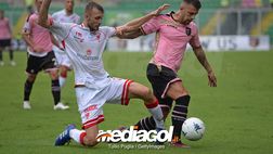 Palermo-Perugia, precedenti in B: umbri avanti sui rosa, Corini imbattuto con Castori