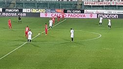 FINALE Padova-Virtus Verona 2-0 (61′ Hallfredsson, 83′ Nicastro)
