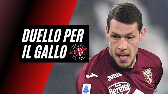 Andrea Belotti Torino Calciomercato AC Milan
