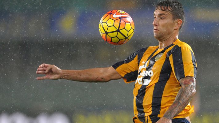 Getty Images  Ex Verona, Jankovic: “Domenica tiferò Genoa” - immagine 1