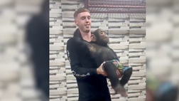 VIDEO / Cole Palmer e l’incontro ravvicinato con la scimmia burlona