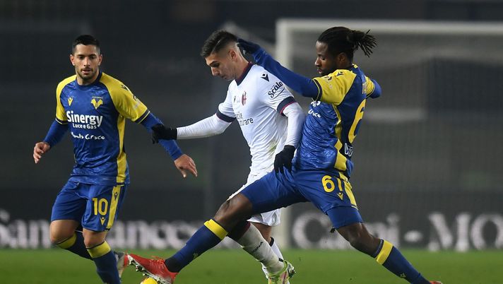 VERONA, ITALY - JANUARY 21: Nicolas Dominguez of Bologna FC competes for the ball with Adrien Tameze of Hellas Verona during the Serie A match between Hellas and Bologna FC at Stadio Marcantonio Bentegodi on January 21, 2022 in Verona, Italy. (Photo by Alessandro Sabattini/Getty Images) Tameze alla Castrovilli per Italiano: c’è un’idea-scambio col Verona - immagine 1