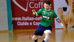 Bernardinello Petrarca, in porta torna una vecchia conoscenza