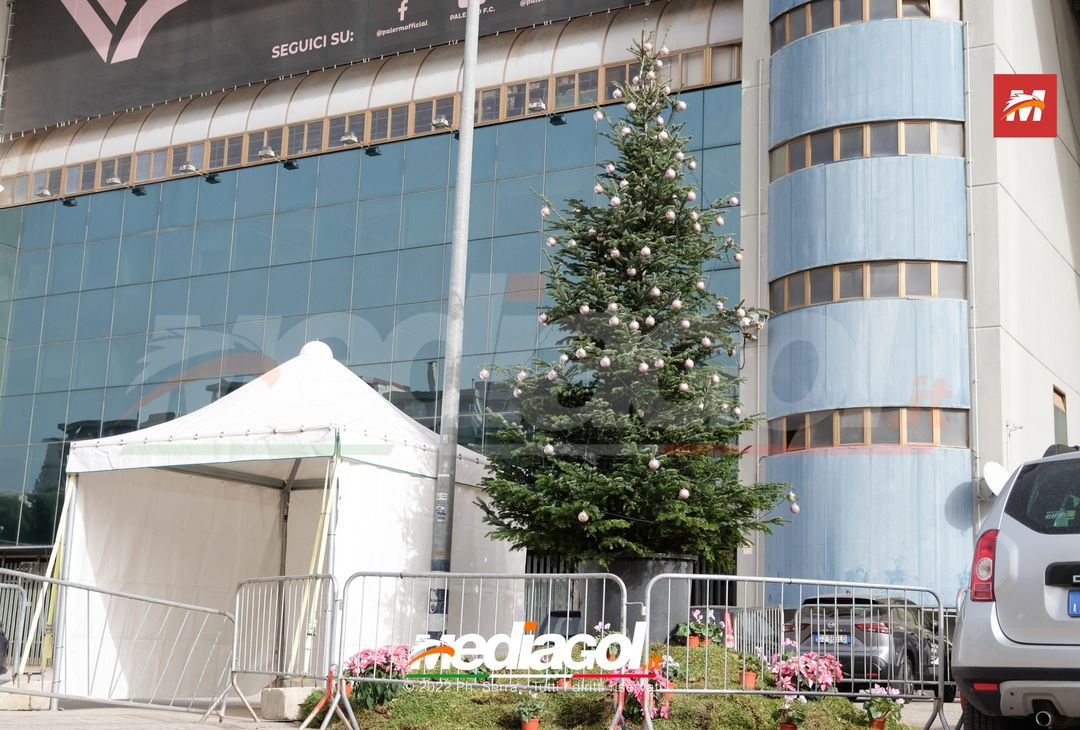 FOTO PALERMO, albero di Natale allo Stadio ‘Renzo Barbera’ (Gallery)- immagine 1