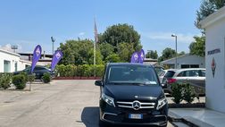 Che Fiorenza, Vanto e Gloria siano le tre mascotte viola