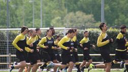 Qui Bruseschi: Primo allenamento settimanale. Assenti Armero e Di Natale