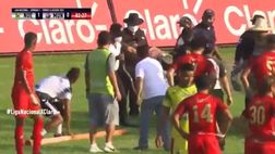VIDEO / Assurdo: partita sospesa per l’invasione di un serpente