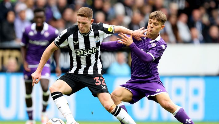 Ds Ternana: “Amatucci e Lucchesi? Presto arriveranno in Serie A - immagine 1