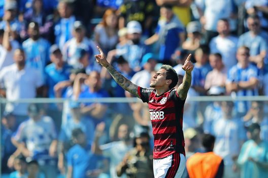 Pedro Flamengo Pedro Flamengo