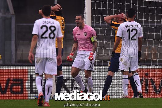 Stefano Sorrentino durante Hellas-Palermo Stefano Sorrentino durante Hellas-Palermo