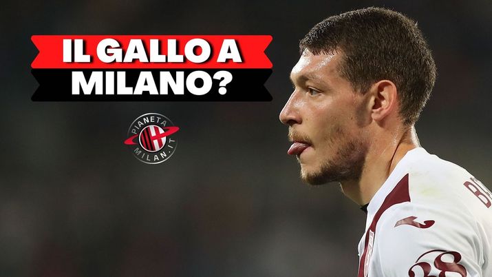 Andrea Belotti (centravanti Torino) può arrivare al Milan a gennaio | Calciomercato AC Milan News (Getty Images) Andrea Belotti Torino Calciomercato AC Milan