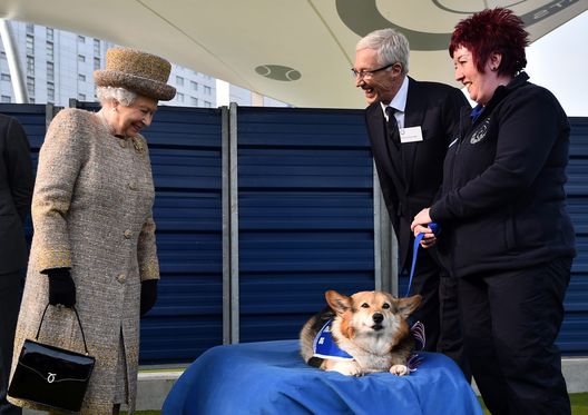 LONDON, ENGLAND - MARCH 17: Britain's Queen Elizabeth II looks at a Corgi dog as British television presenter Paul O'Grady (2nd R) looks on during the opening of the new Mary Tealby dog kennels at Battersea Dogs and Cats Home in London on March 17, 2015. (Photo by Ben Stansall - WPA Pool/Getty Images) Quando la Regina Elisabetta… andò a vedere il Millwall - immagine 1